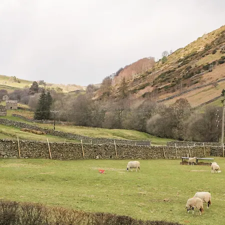 Kearton Shunner Fell *