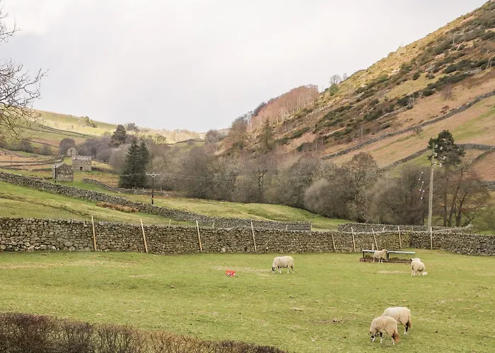 Kearton Shunner Fell *