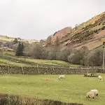 Kearton Shunner Fell *
